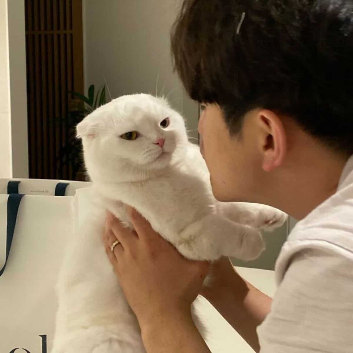 a cat confused in the arms of a man