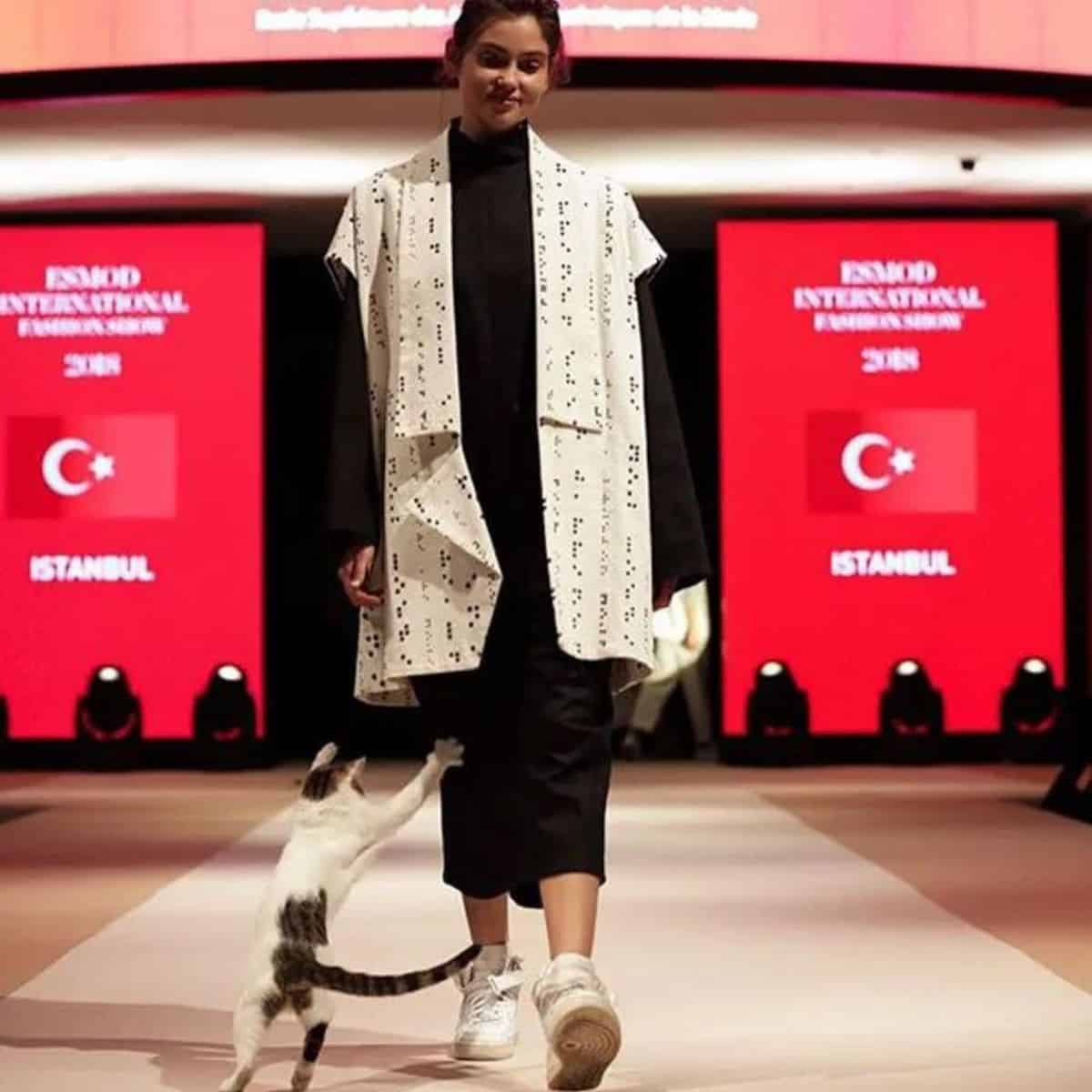 a cat jumps on a girl's dress at a fashion show