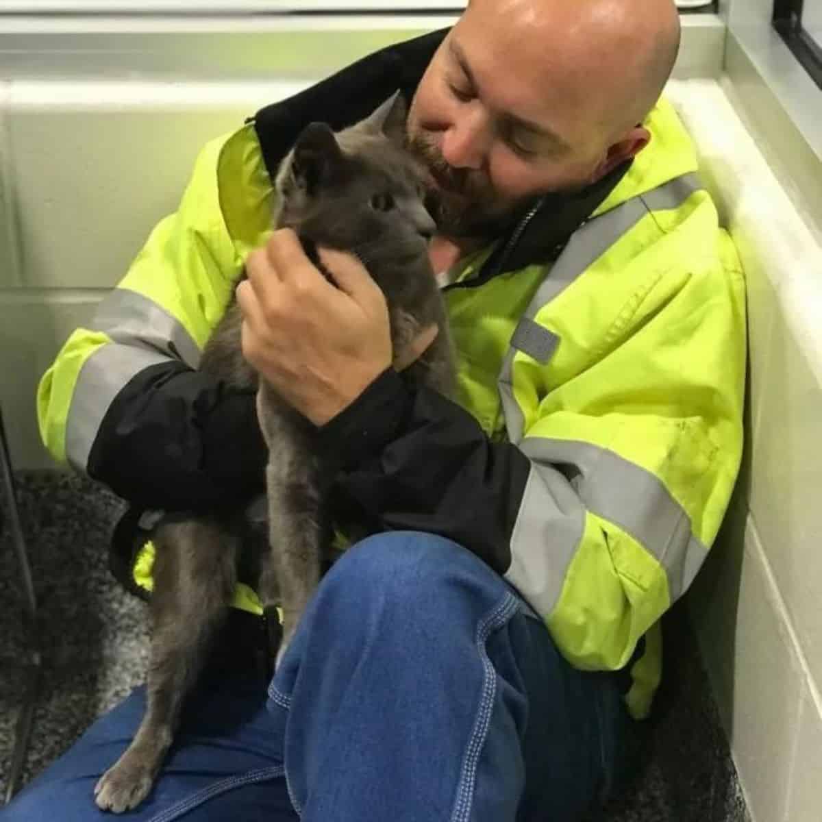 a man caresses a rescued cat