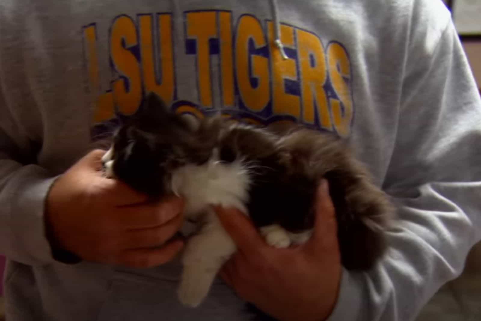 a man holds a kitten in his hands