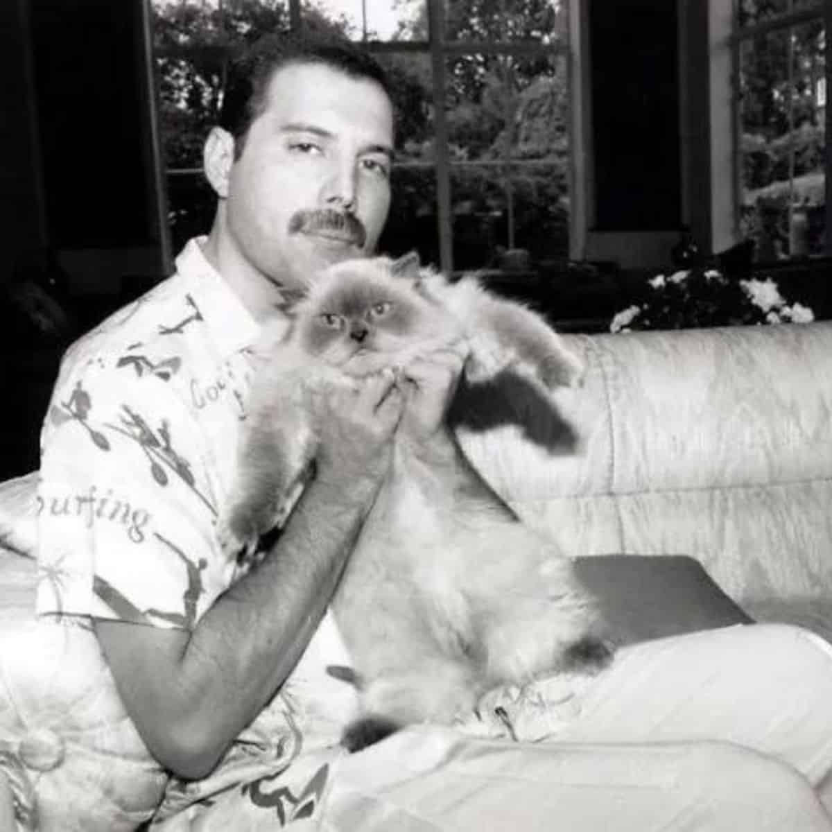 black and white photo of freddie holding up a cat