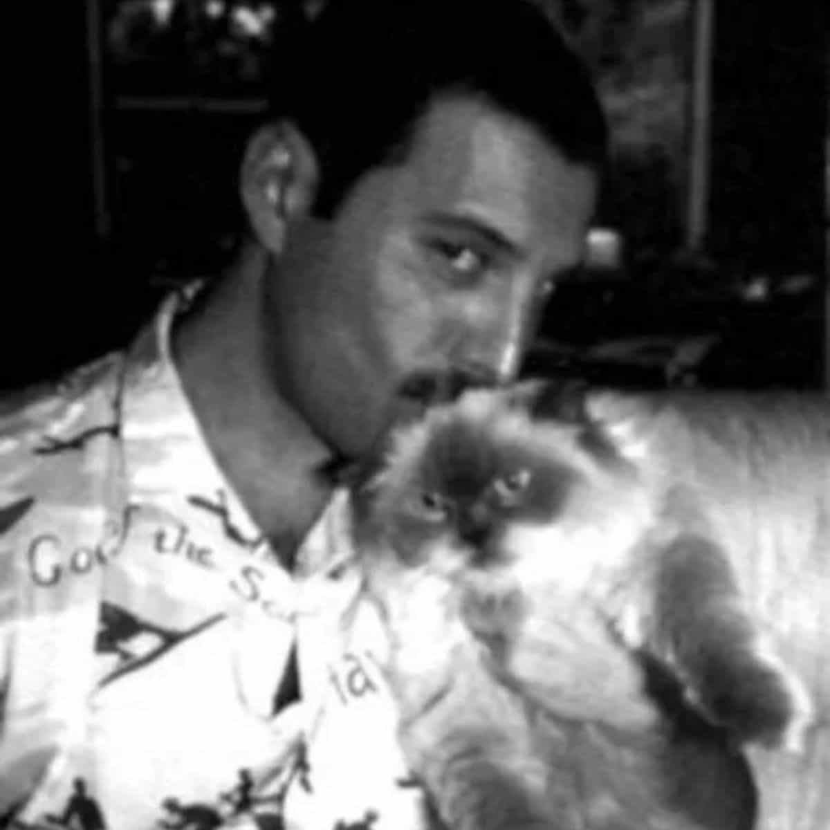 black and white photo of freddie kissing his cat