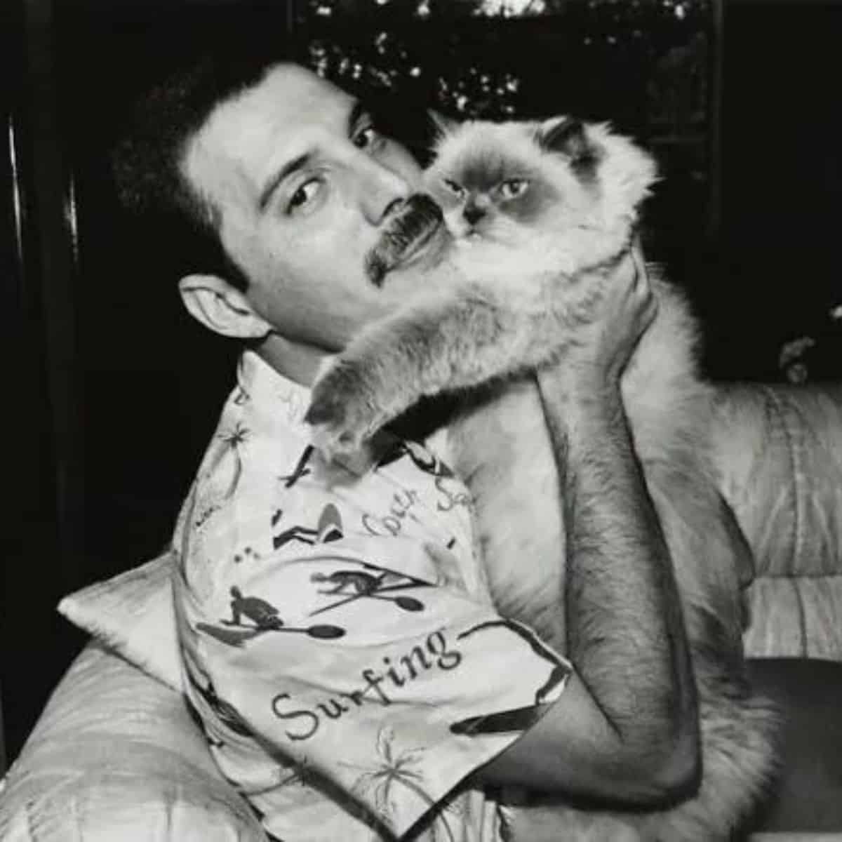 black and white photo of freddie mercury holding a cat