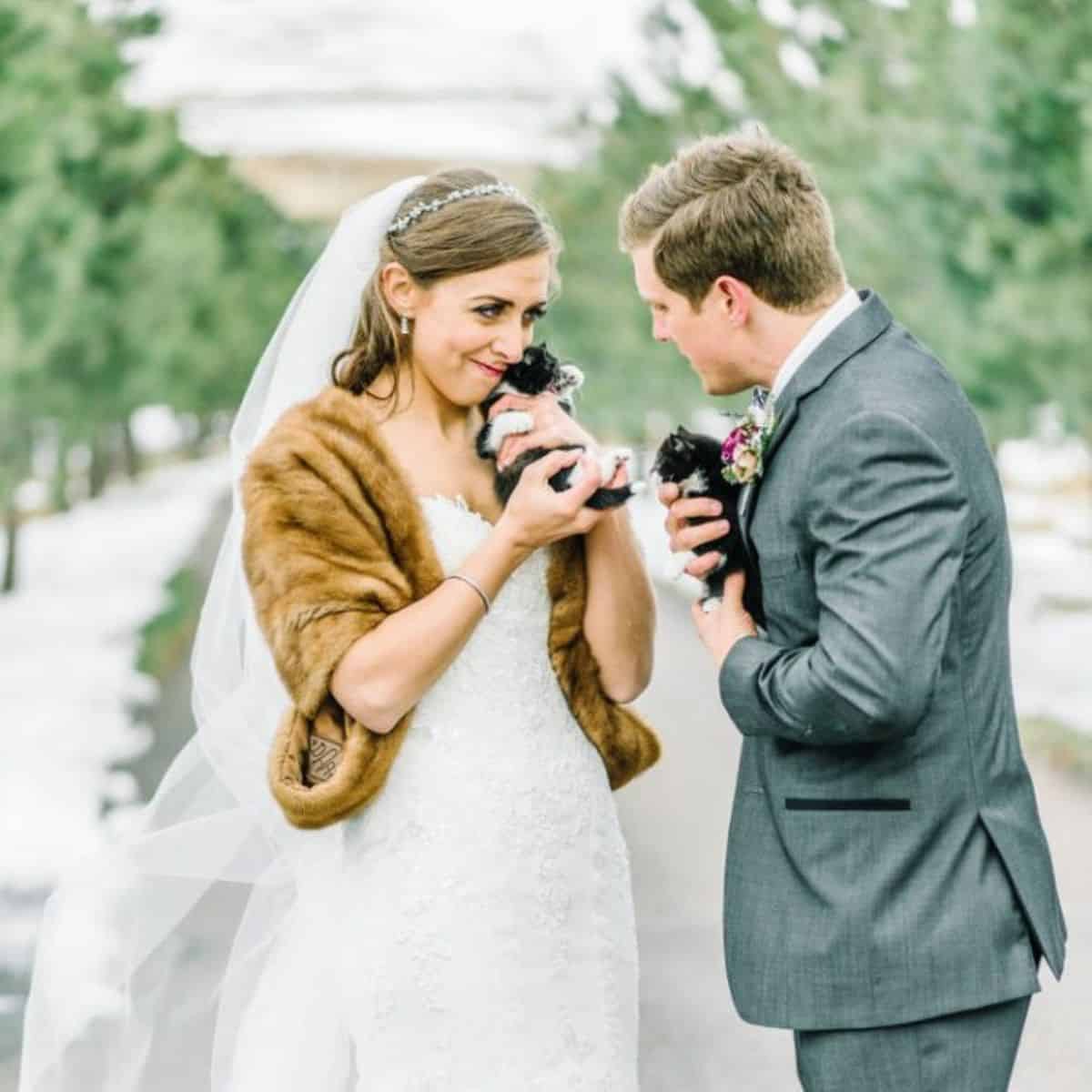 bride and groom holding cats and facing each other