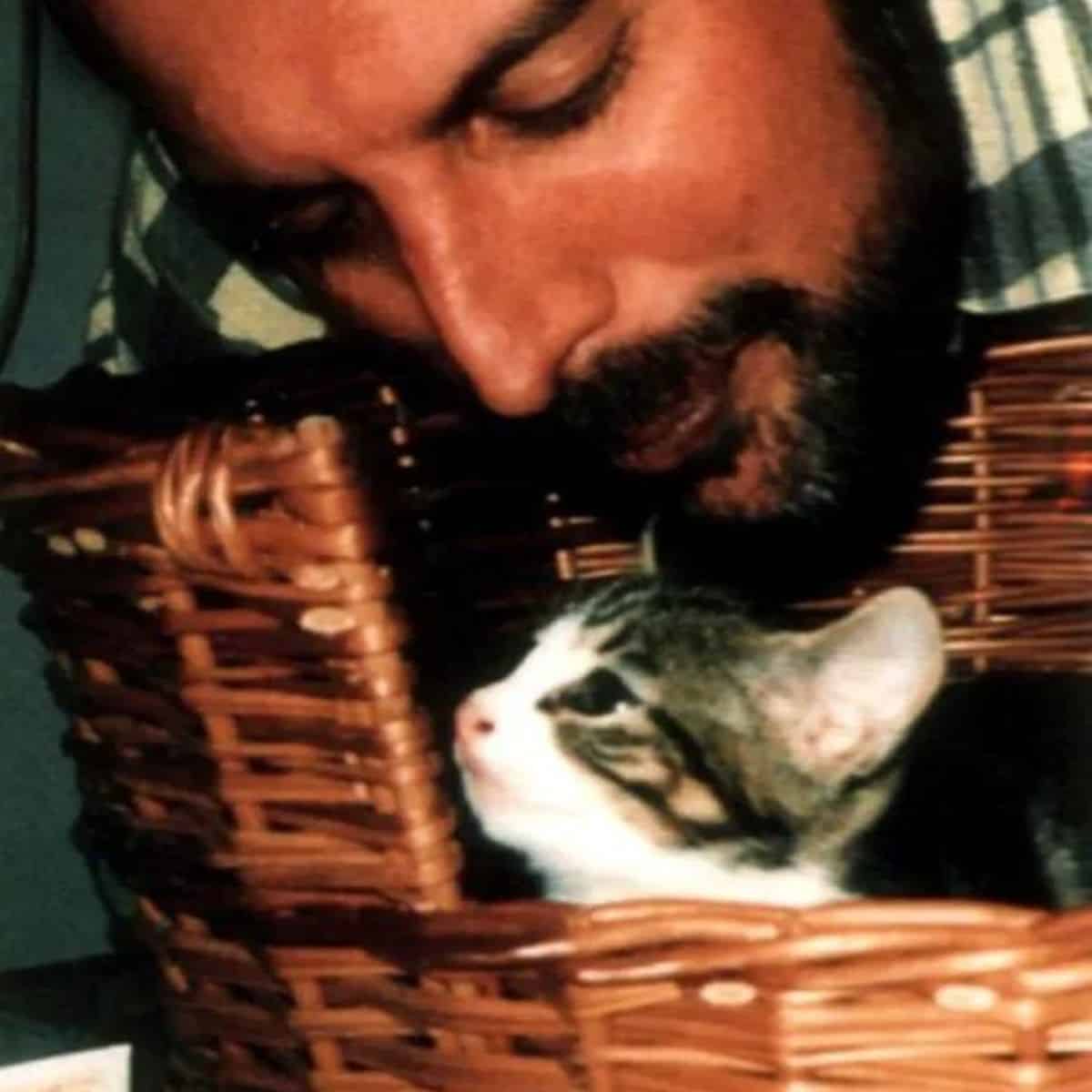 close-up photo of freddie leaning towards the cat