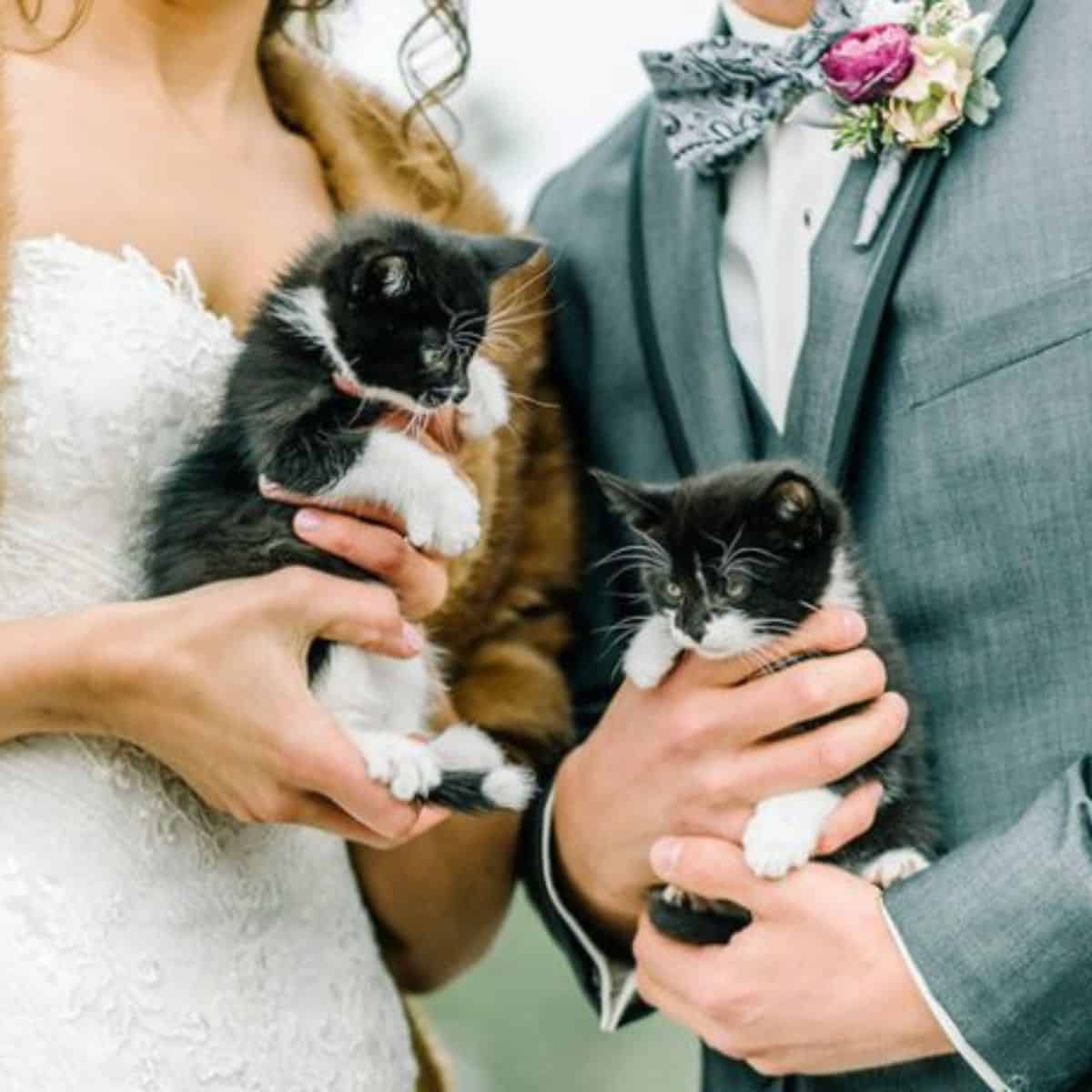 close-up photo of the couple each holding a cat