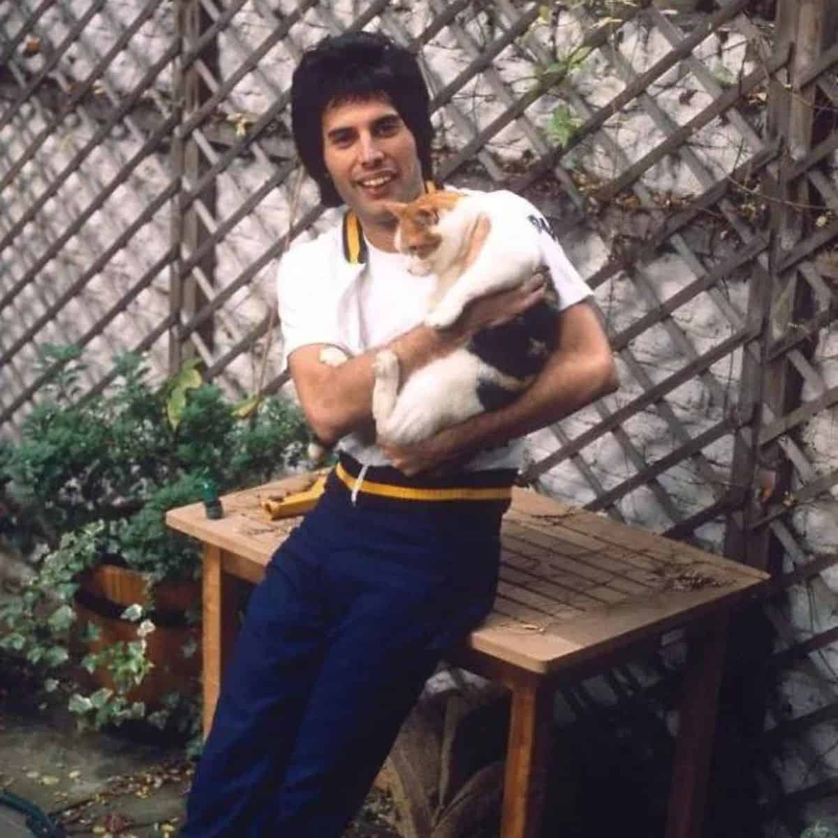 freddie holding a cat in garden