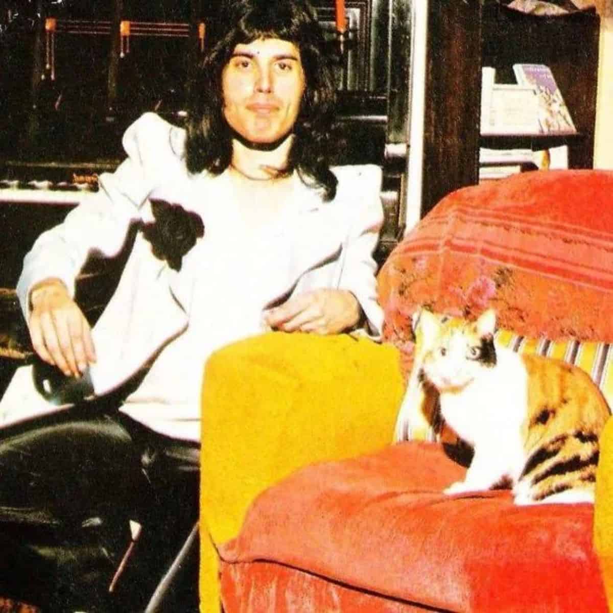 freddie next to a cat sitting on a couch