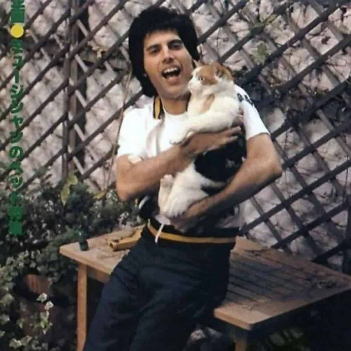 freddie smiling while holding his cat