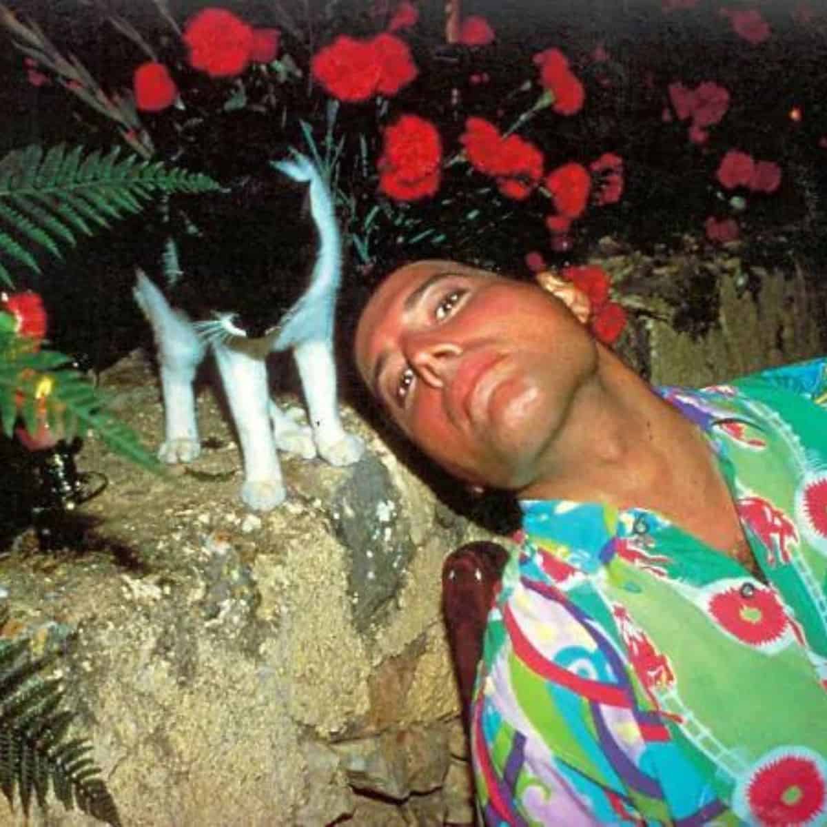 freddie with black and white cat