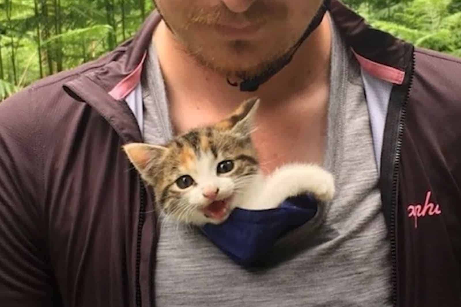 kitten in man's shirt