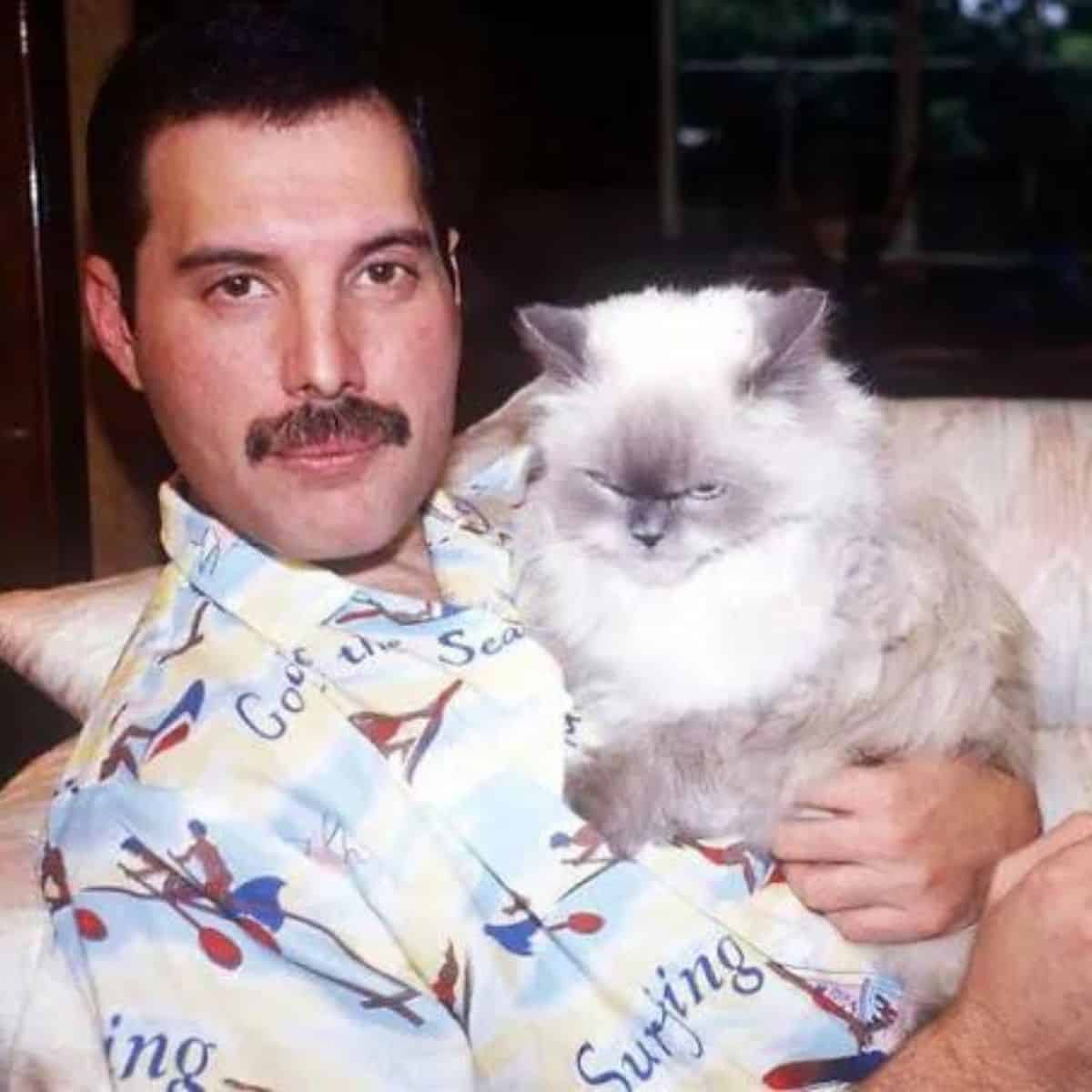 photo of freddie holding a cat on his chest
