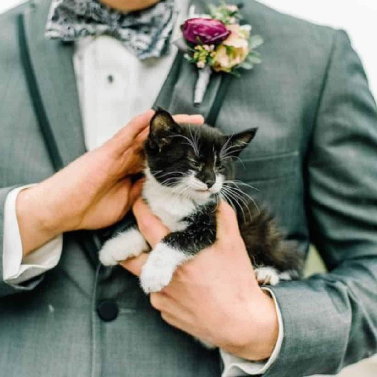 photo of the groom holding a cat