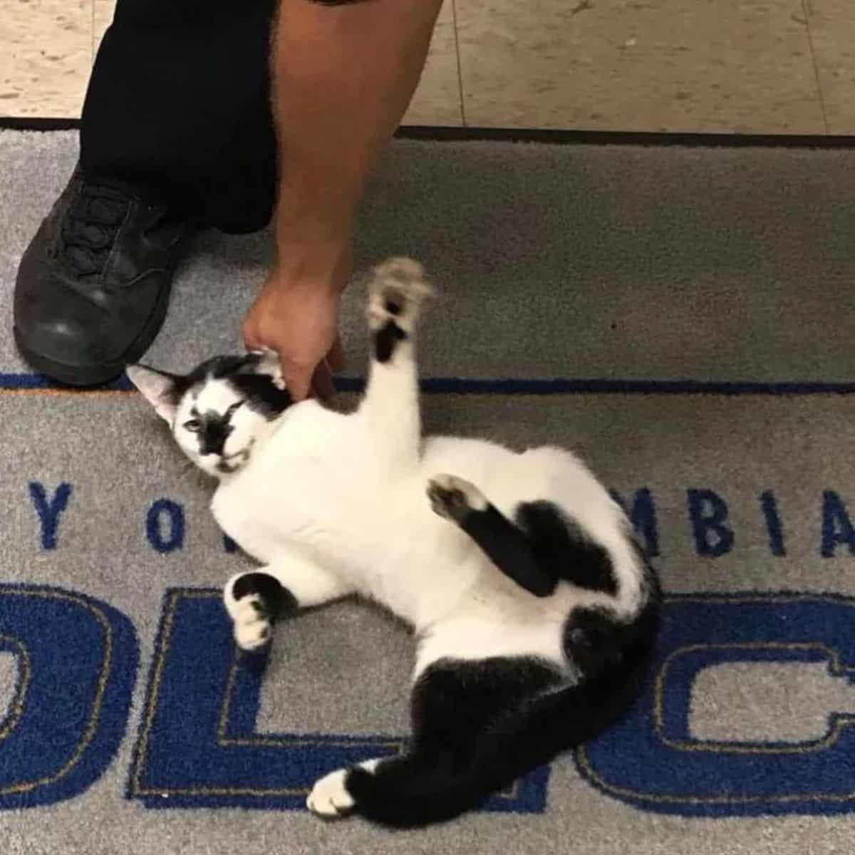 policeman petting a black and white cat