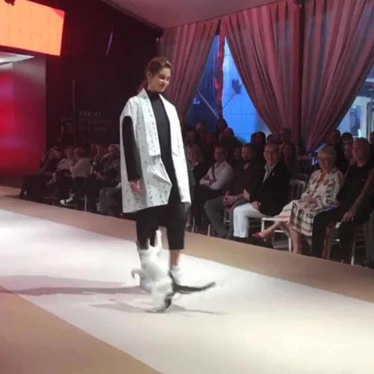 the cat disrupts the fashion show