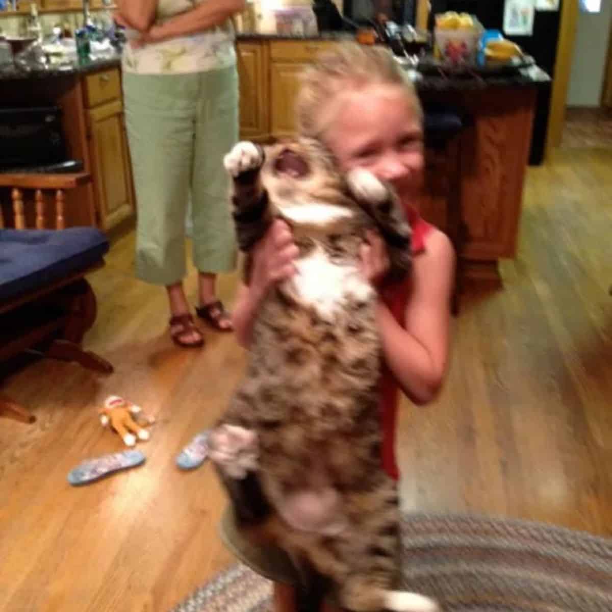 the cat meows as the girl carries her