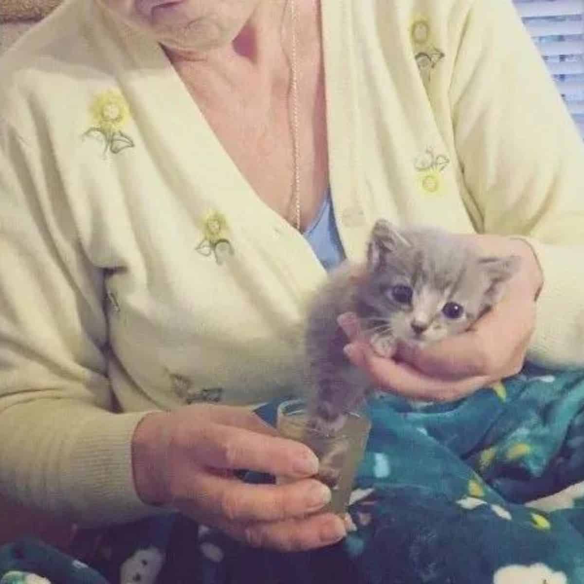 woman holding little kitty
