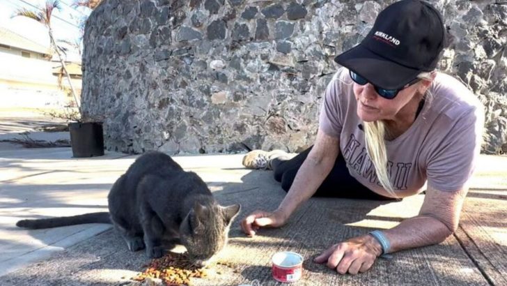 This Woman Travels To Her Burn-Out Home Every Day To Feed Her Cats