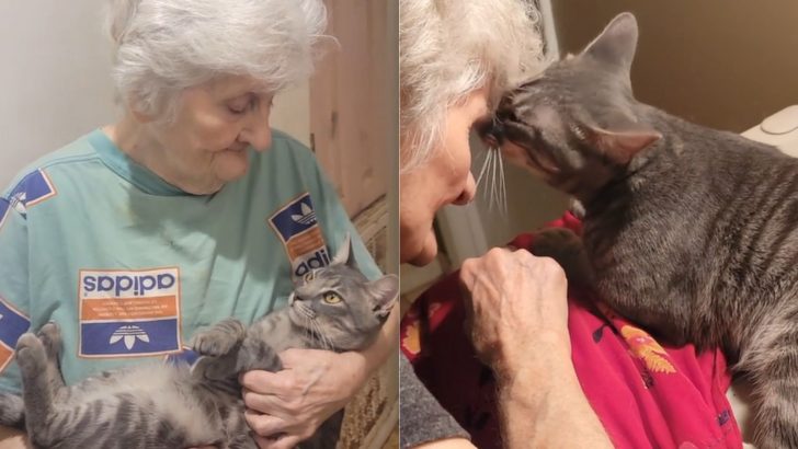 Granny Has A Comical Relationship With Her Feline Friend