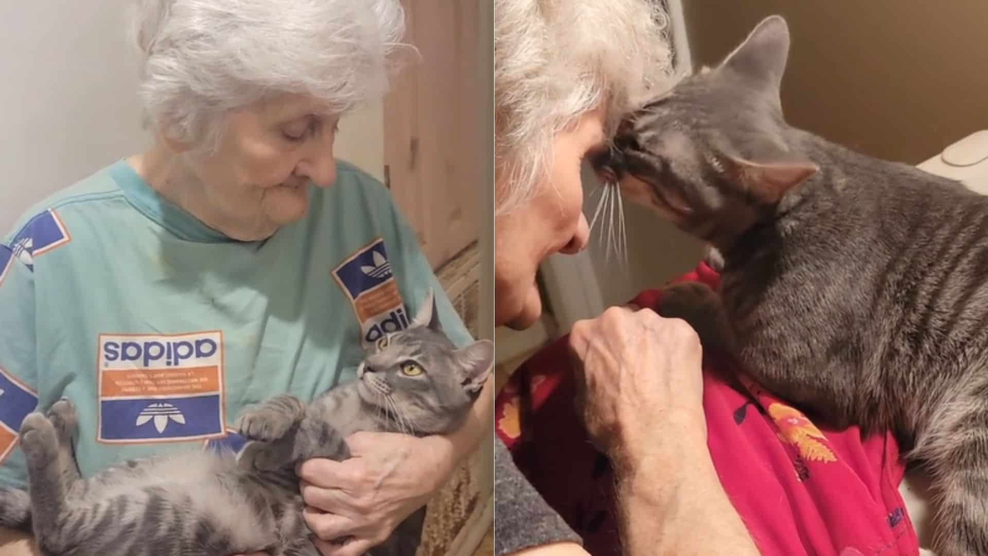 granny and cat with strong bond