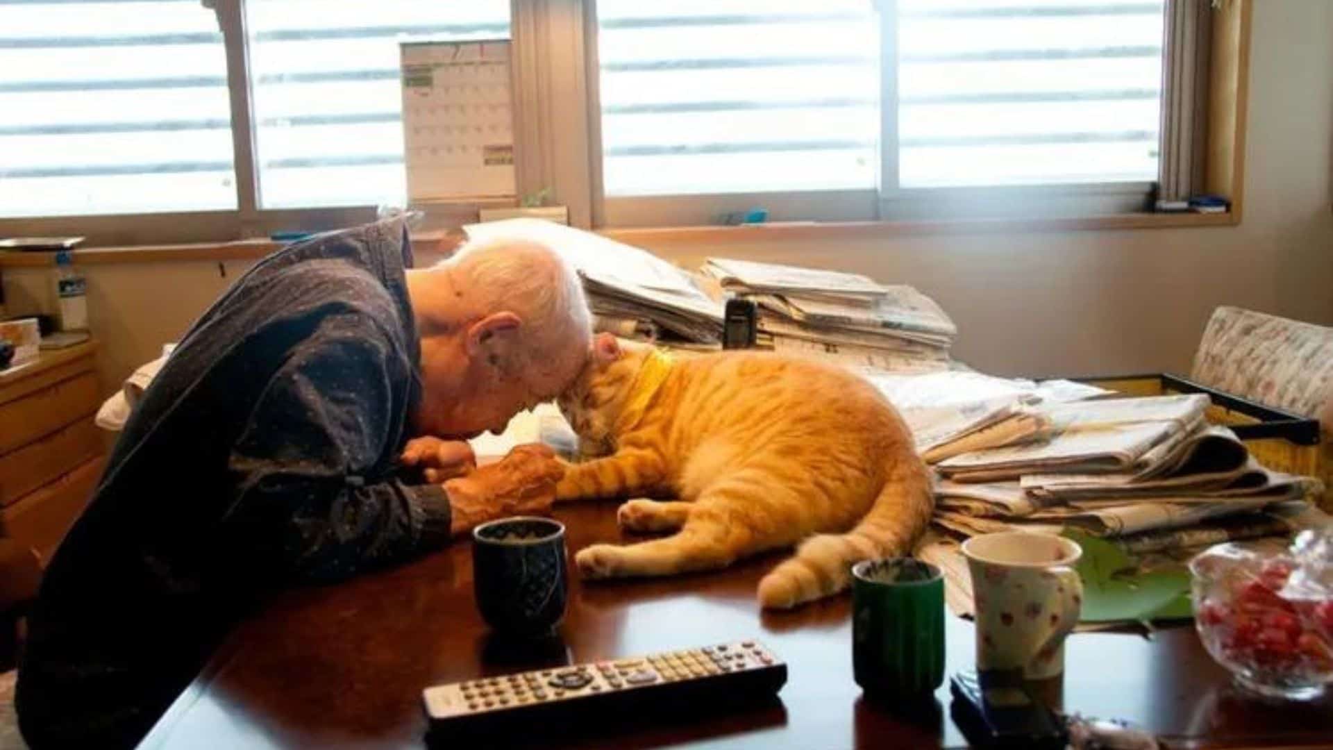 cat with grandpa