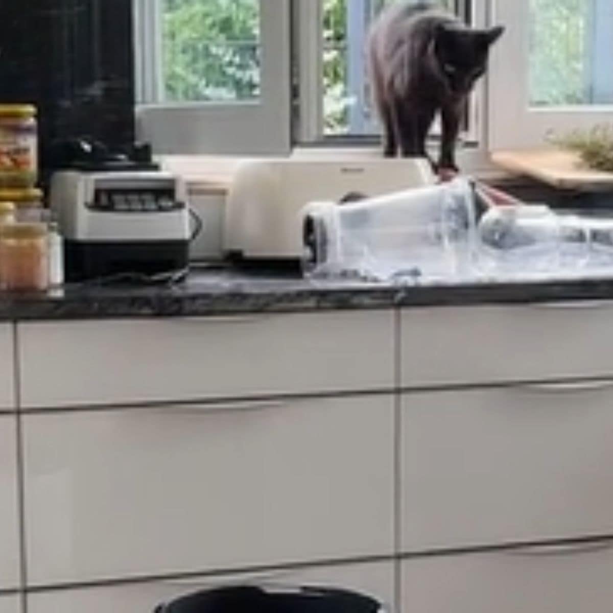 black cat entering a house through a window