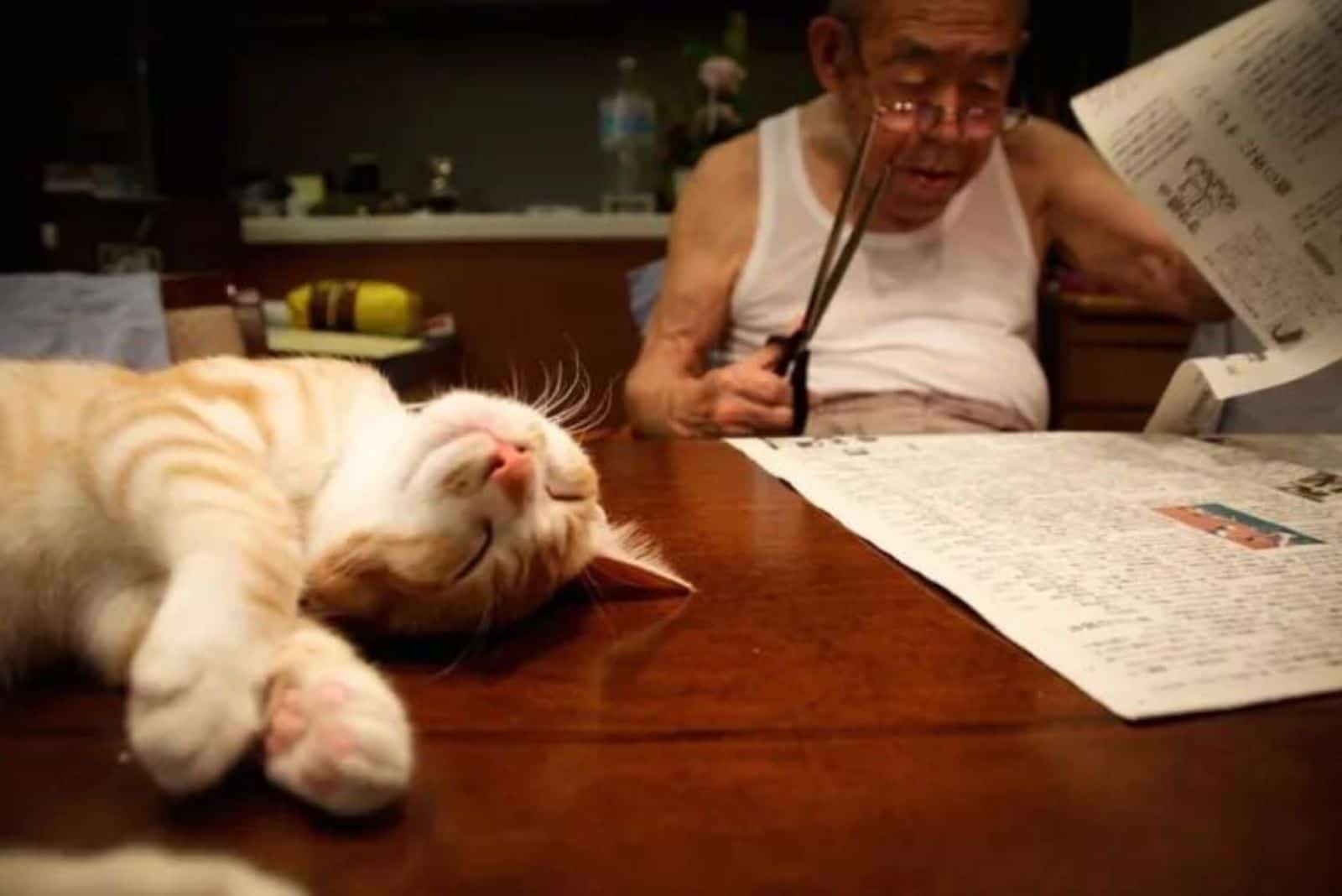 funny cat laying on table with man sitting next to it