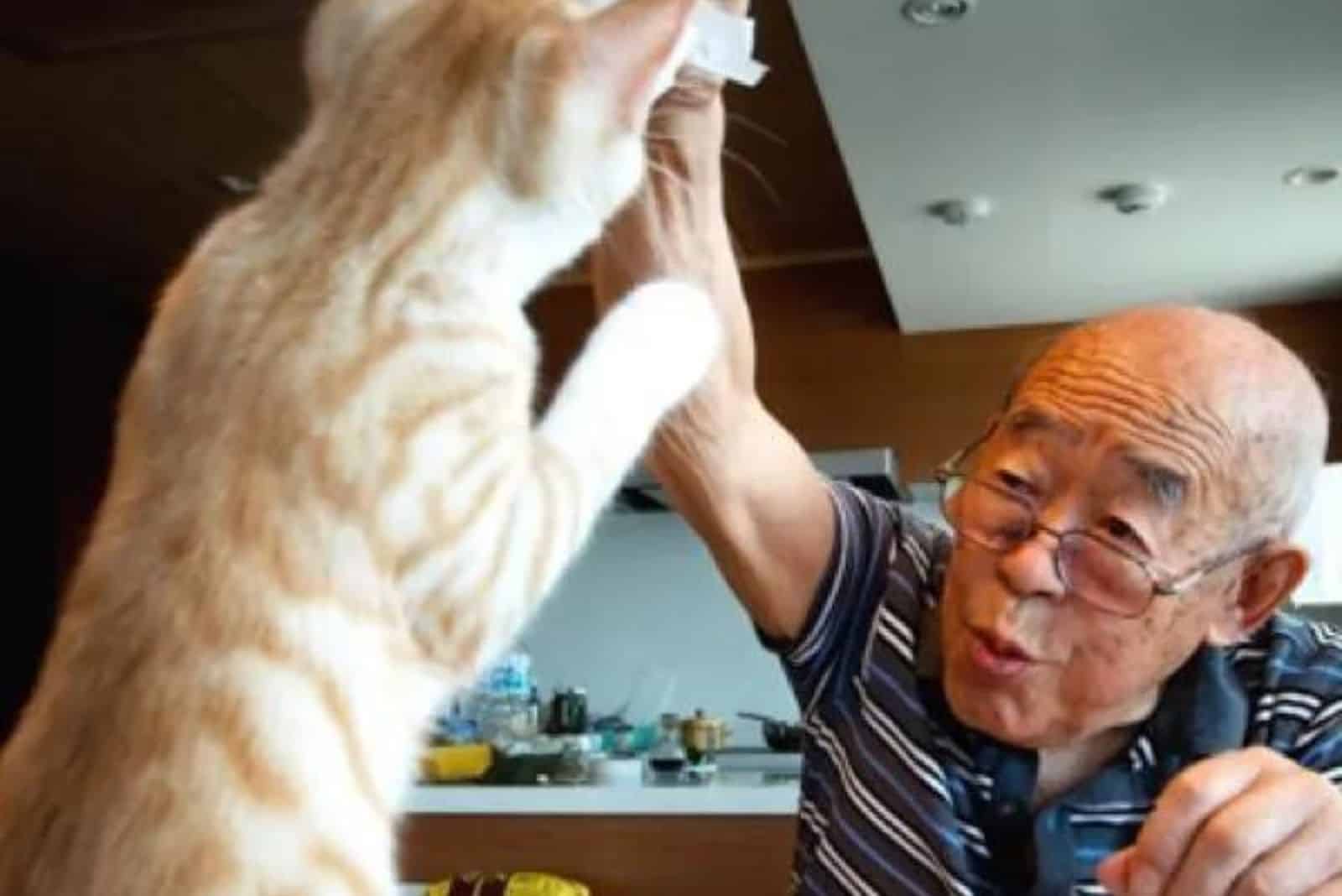 grandpa playing with cat