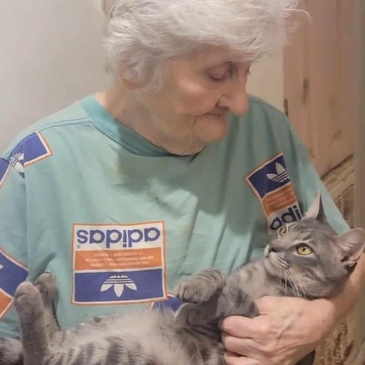granny and cat