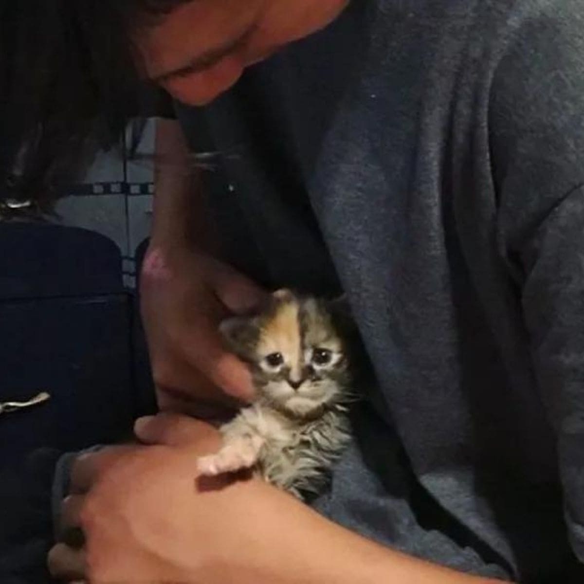 man holding the rescued kitten