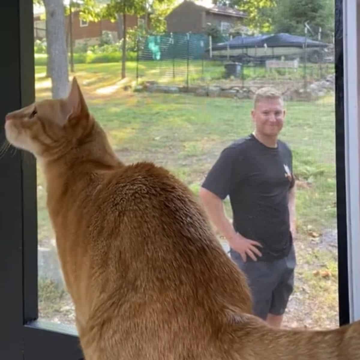man standing outside looking at a cat
