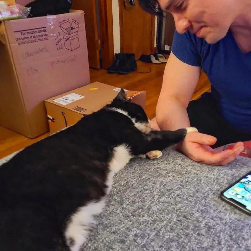 the cat cuddles with the man he saved