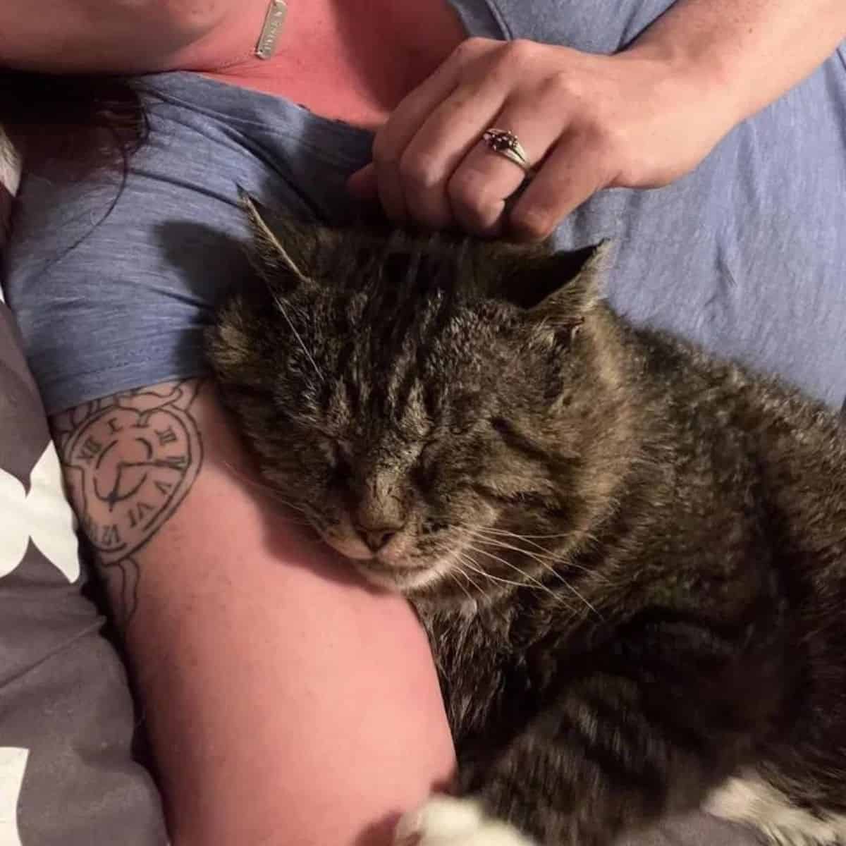 woman petting hubby the cat while lying