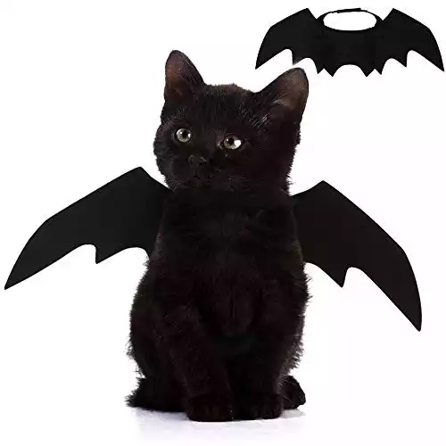 Pet Cat Bat Wings for Halloween