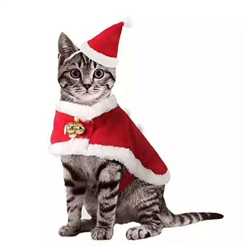 Christmas Cat Costume
