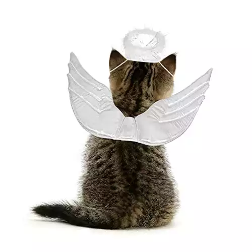 POPETPOP Cat Angel Costume