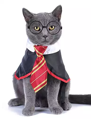 Impoosy Halloween Cat Costume Wizard