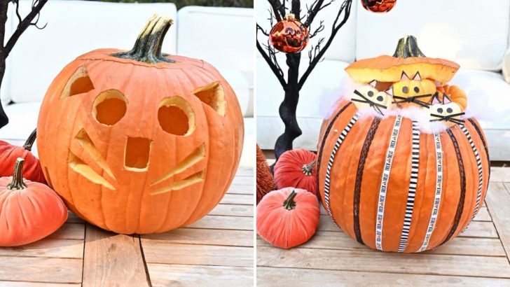5 Crafty Cat-O’Lantern Ideas To Try At Home (With Photos) 