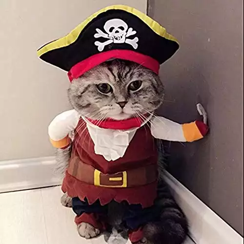 Idepet Pirate Cat Costume