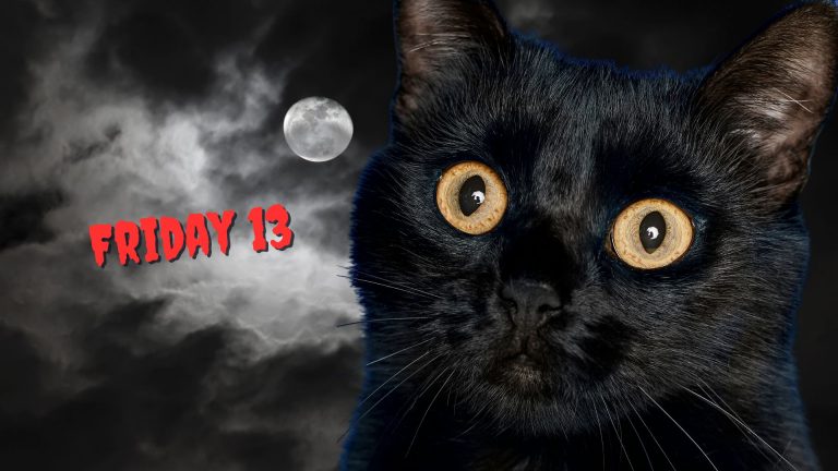 black cats and friday 13th