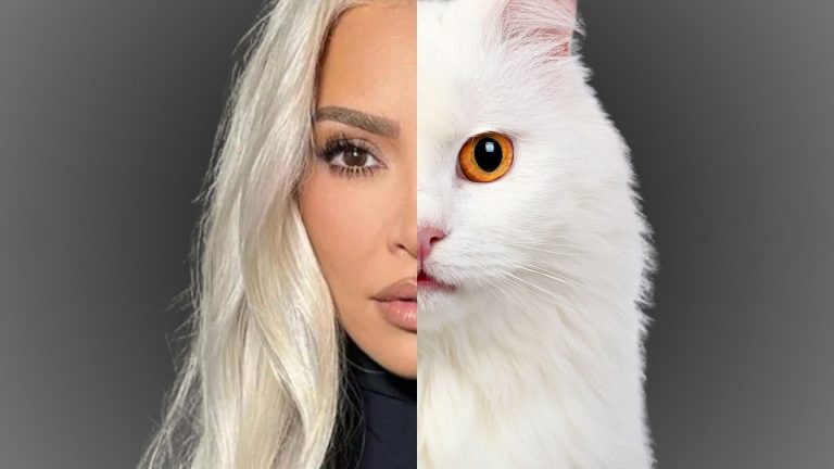 photo of kim kardashian and cat combined