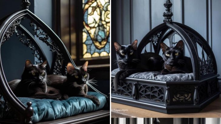You Gotta See These Super Spooky Halloween Cat Beds