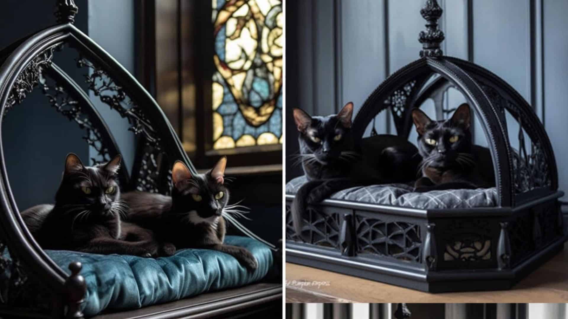 cats in spooky bed