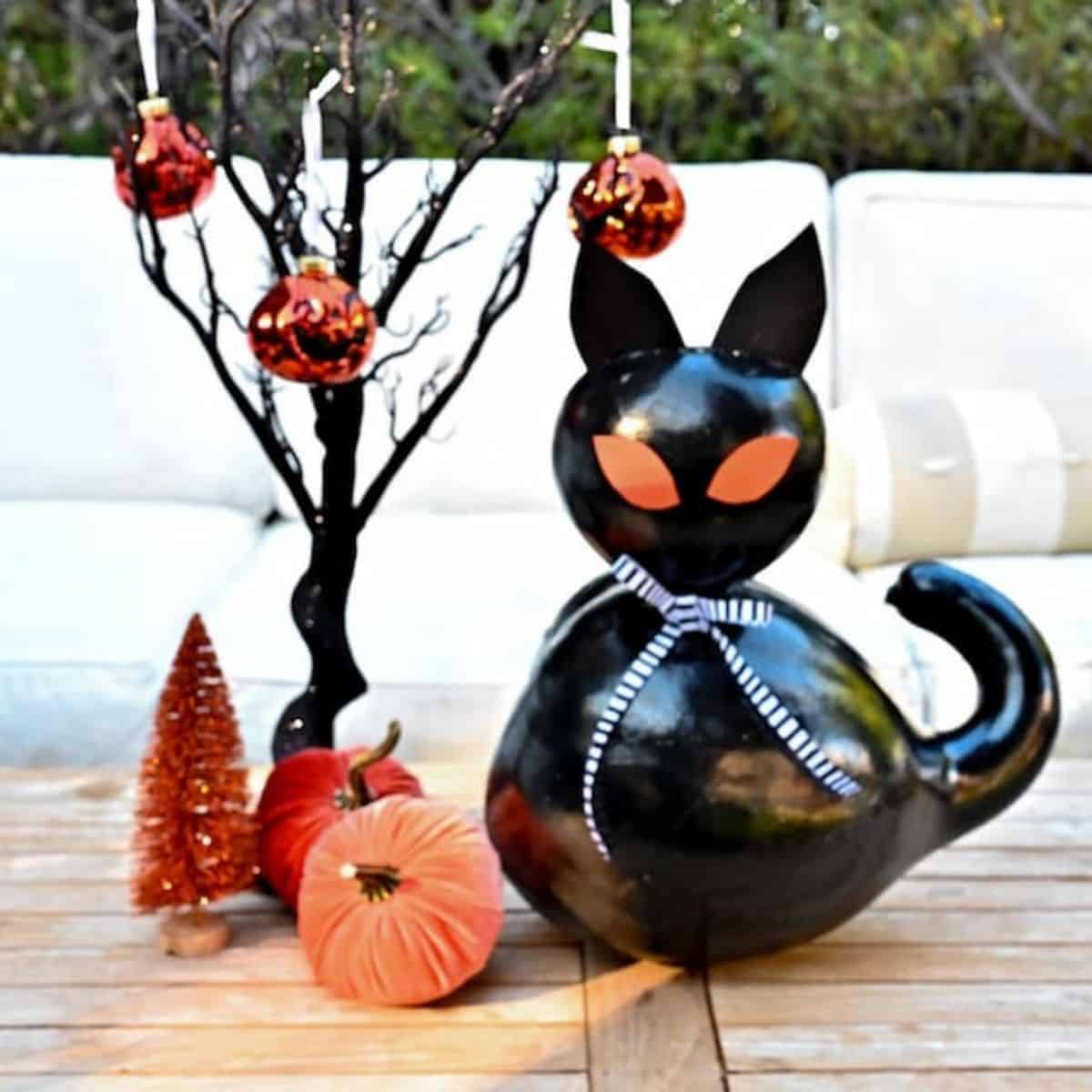black cat from pumpkins