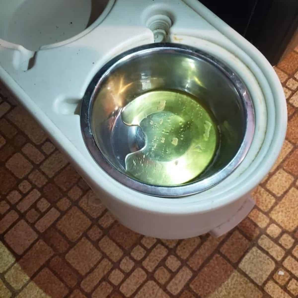 photo of dog bowl