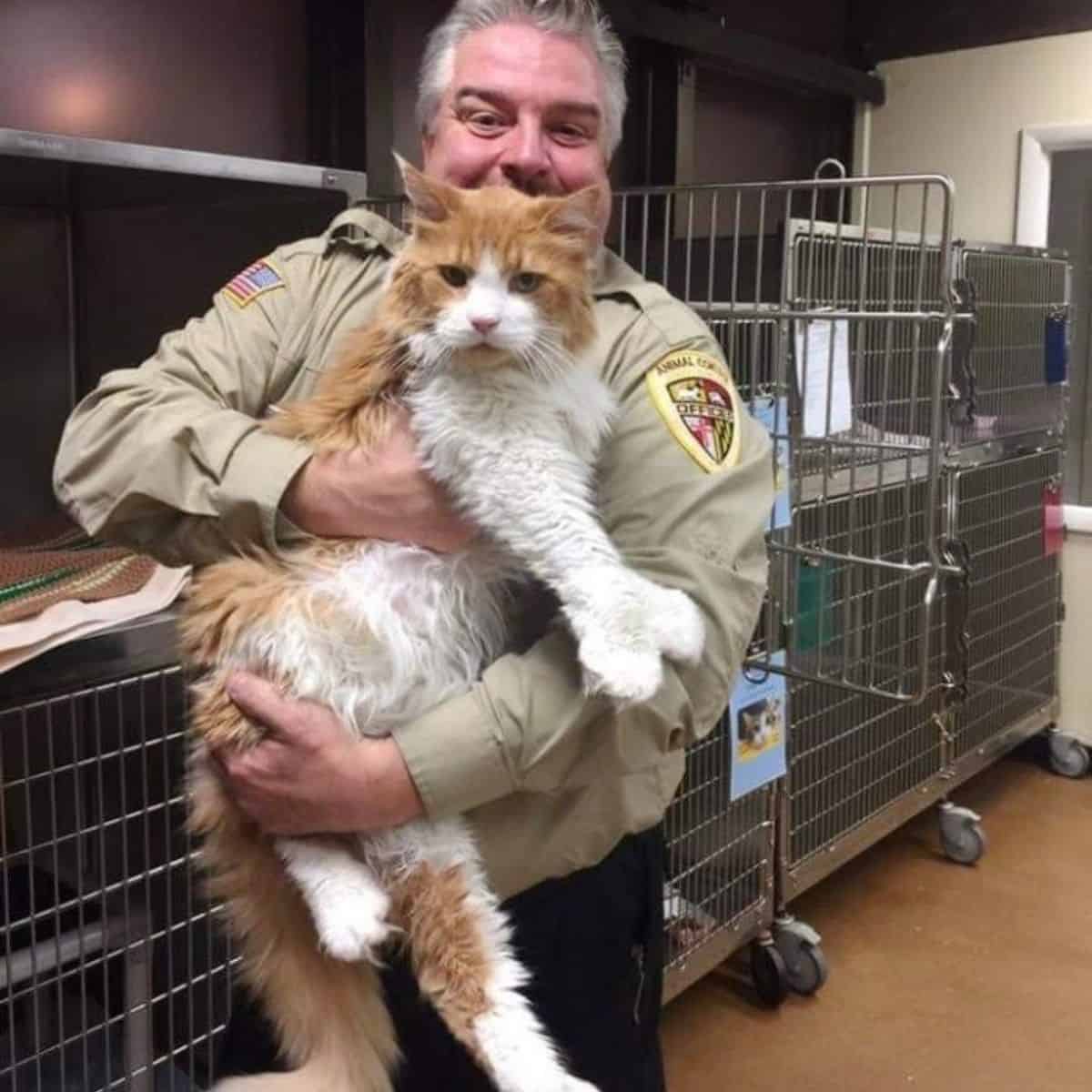 police officer holding giant cat