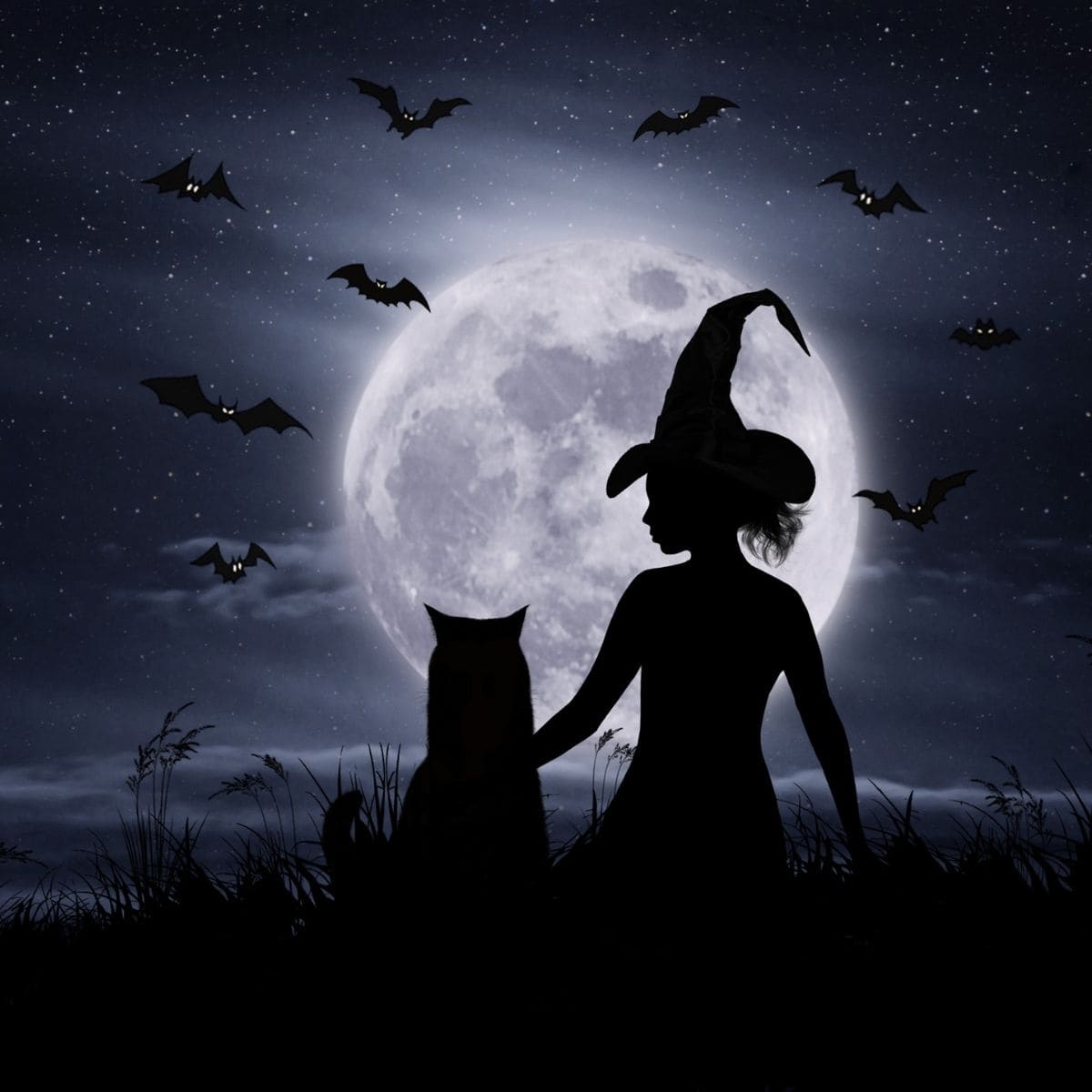 witch and black cat at full moon