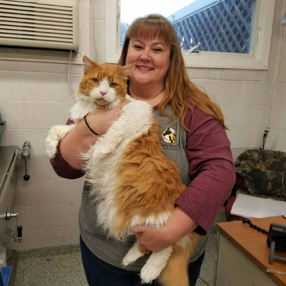 woman holding giant cat