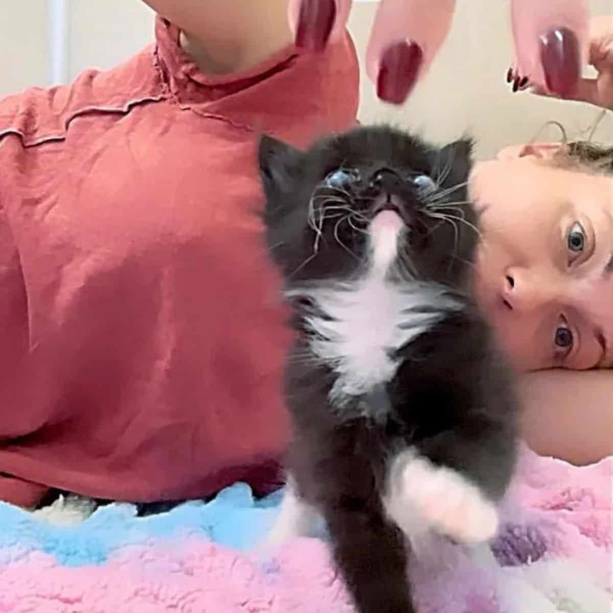 woman lying next to a kitten