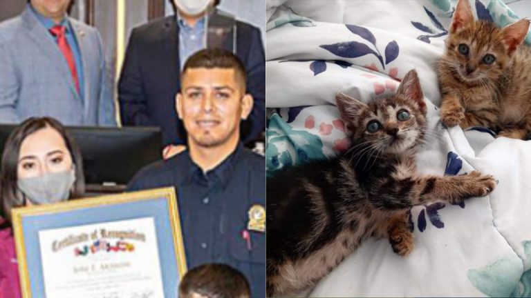 photo of animal control officer and saved cat